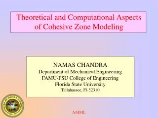 Theoretical and Computational Aspects of Cohesive Zone Modeling