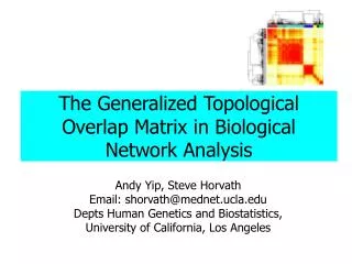 The Generalized Topological Overlap Matrix in Biological Network Analysis