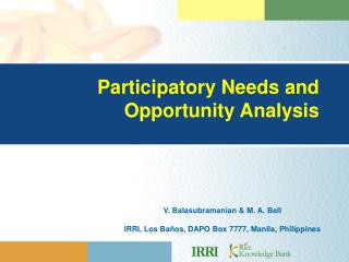 Participatory Needs and Opportunity Analysis