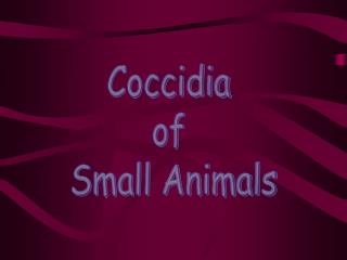 Coccidia of Small Animals