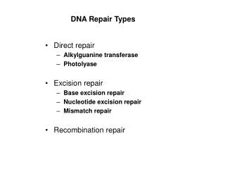 DNA Repair Types