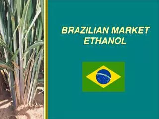 BRAZILIAN MARKET ETHANOL