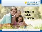 Umbrella Liability Insurance - slide 1