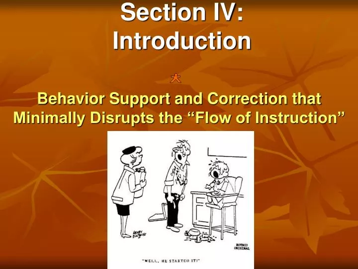 section iv introduction
