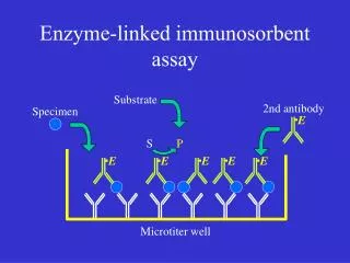 Enzyme-linked immunosorbent assay