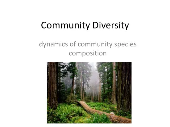 community diversity