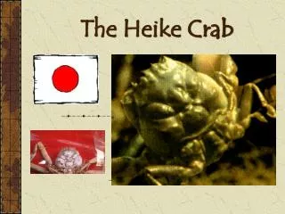 The Heike Crab