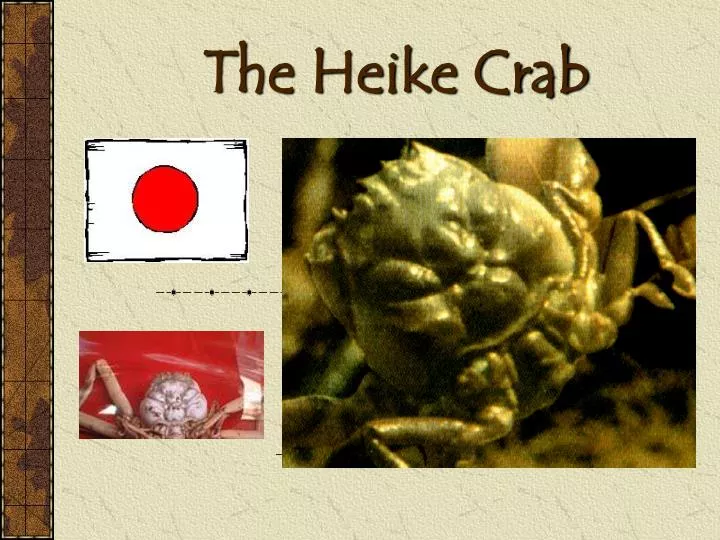the heike crab
