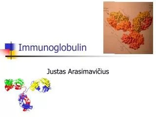 Immunoglobulin