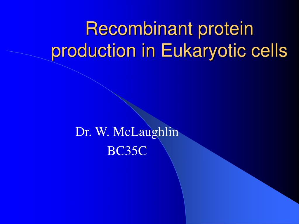 PPT - Recombinant protein production in Eukaryotic cells PowerPoint ...