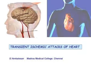 TRANSIENT ISCHEMIC ATTACKS OF HEART
