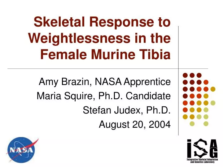 skeletal response to weightlessness in the female murine tibia