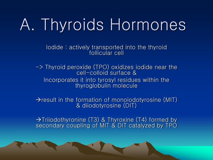 a thyroids hormones