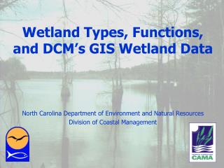 Wetland Types, Functions, and DCM’s GIS Wetland Data North Carolina Department of Environment and Natural Resources Divi