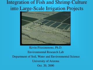 Integration of Fish and Shrimp Culture into Large-Scale Irrigation Projects