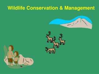 Wildlife Conservation &amp; Management