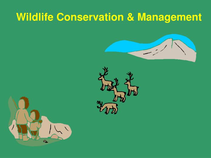 wildlife conservation management
