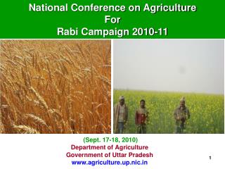 Department of Agriculture Government of Uttar Pradesh agriculture.up.nic