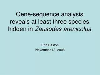 Gene-sequence analysis reveals at least three species hidden in Zausodes arenicolus