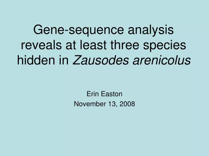 gene sequence analysis reveals at least three species hidden in zausodes arenicolus