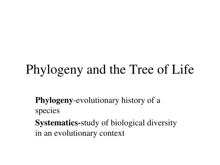 phylogeny and the tree of life