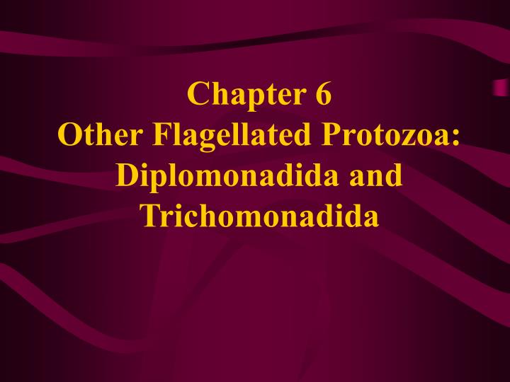 chapter 6 other flagellated protozoa diplomonadida and trichomonadida