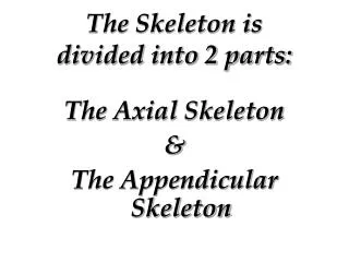 The Skeleton is divided into 2 parts: