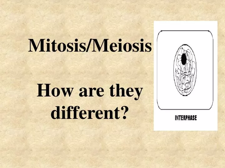 mitosis meiosis how are they different