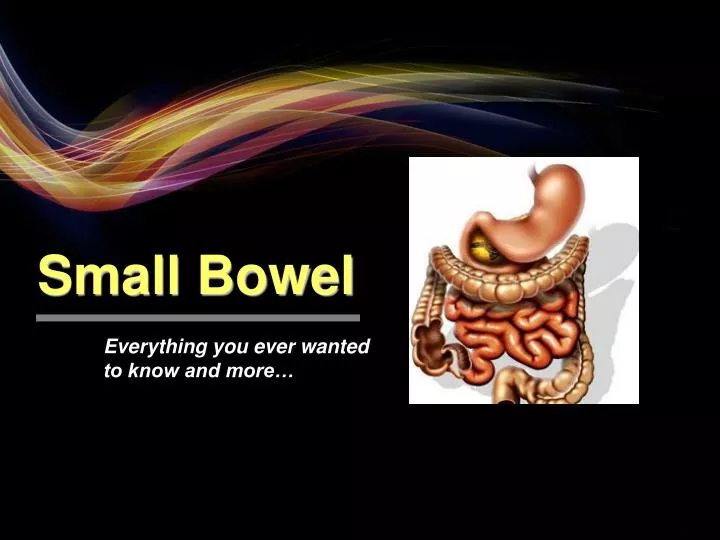 small bowel