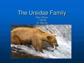The Ursidae Family Allen Wilson 7-29-08 Dr. McCall