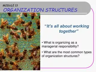 MODULE 13 ORGANIZATION STRUCTURES