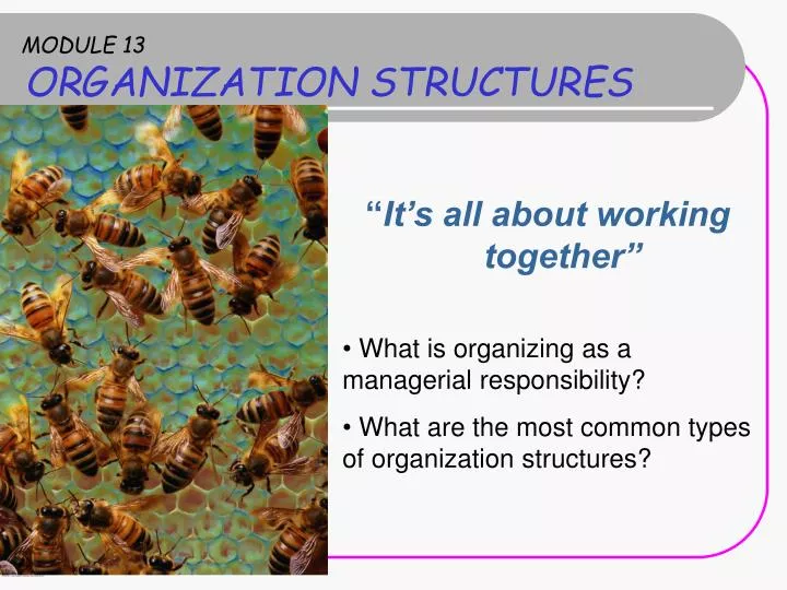 module 13 organization structures