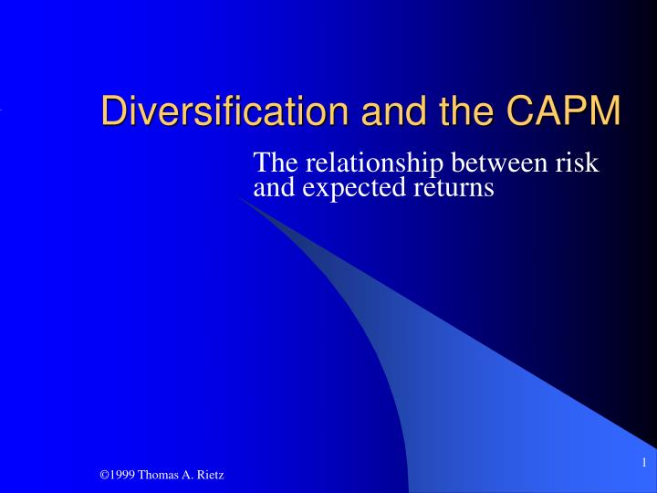 diversification and the capm