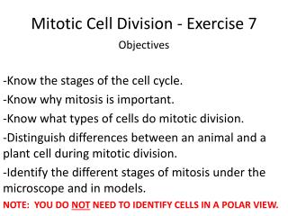 Mitotic Cell Division - Exercise 7