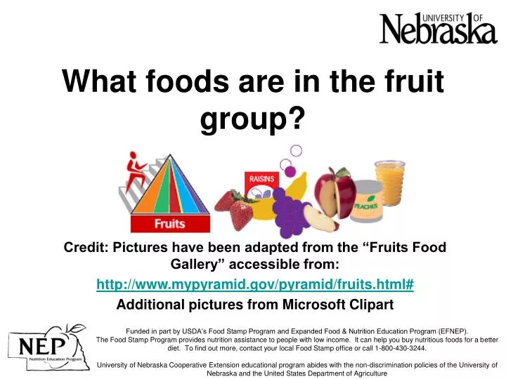 what foods are in the fruit group