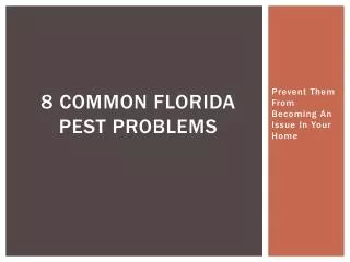 8 Common Florida Pest Problems - Prevent Them From Becoming