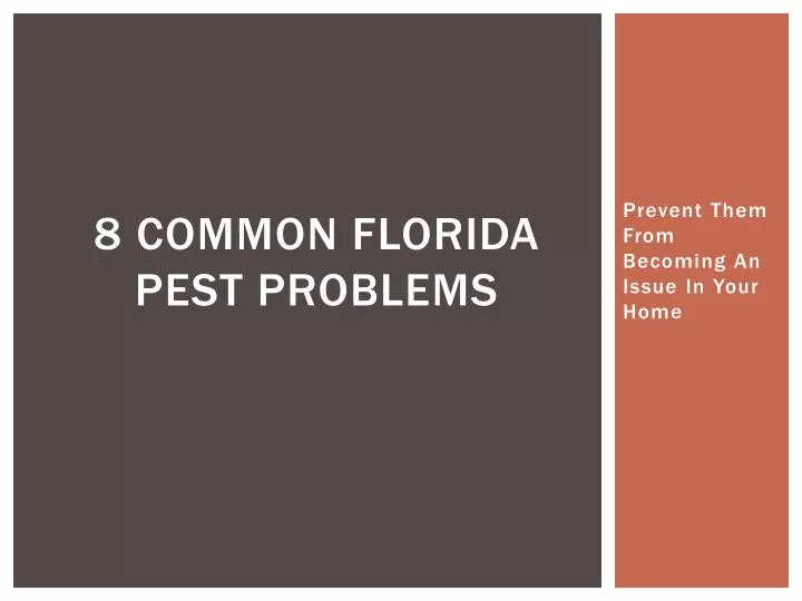8 common florida pest problems