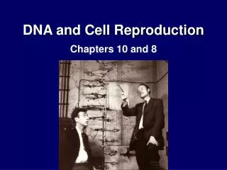 dna and cell reproduction