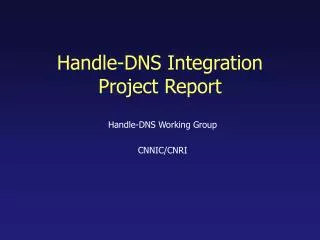 Handle-DNS Integration Project Report