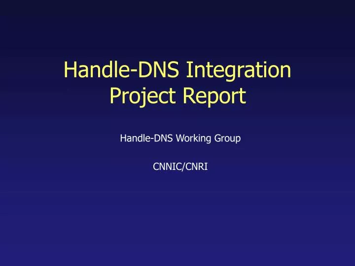 handle dns integration project report