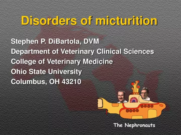 disorders of micturition