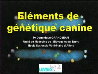 Pr Dominique GRANDJEAN Unité de Médecine de l’Elevage et du Sport Ecole Nationale Vétérinaire d’Alfort