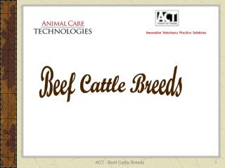 Beef Cattle Breeds