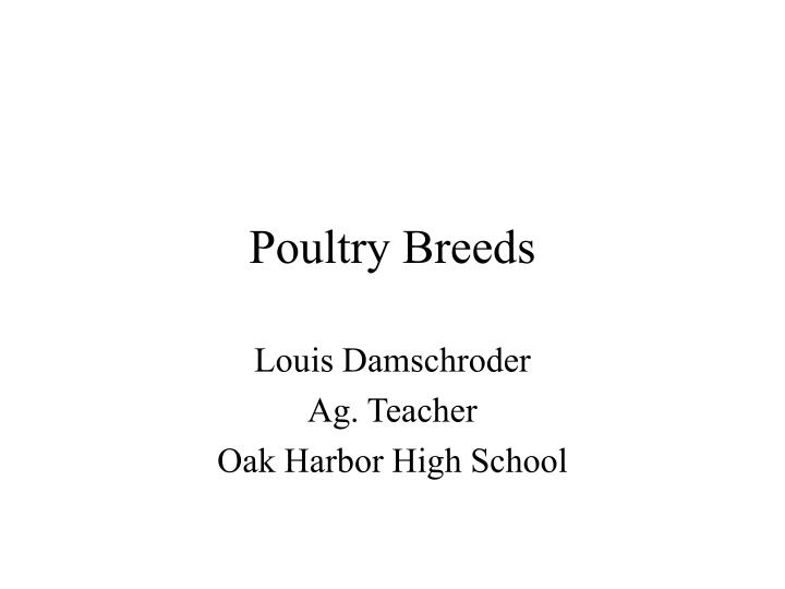 poultry breeds