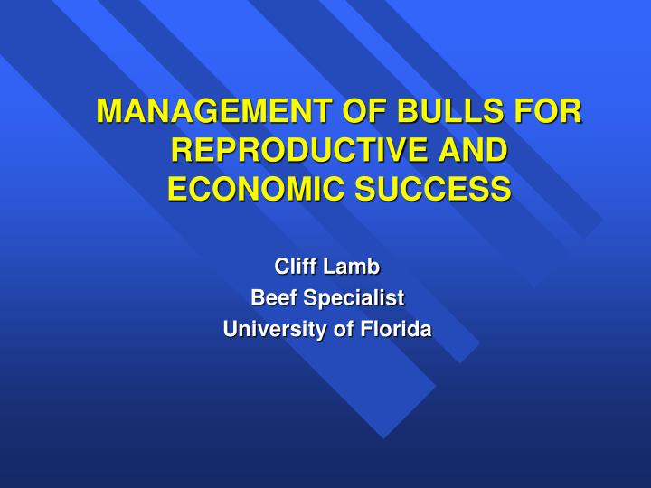 management of bulls for reproductive and economic success