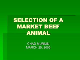 SELECTION OF A MARKET BEEF ANIMAL