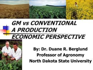 GM vs CONVENTIONAL A PRODUCTION ECONOMIC PERSPECTIVE