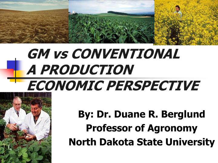 gm vs conventional a production economic perspective