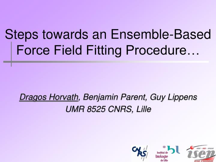 steps towards an ensemble based force field fitting procedure