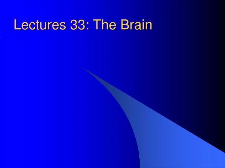lectures 33 the brain